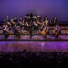 ORCHESTRE DE CHAMBRE NOUVELLE EUROPE - Dir. Nicolas Krauze - Image 42