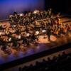 ORCHESTRE DE CHAMBRE NOUVELLE EUROPE - Dir. Nicolas Krauze - Image 38
