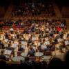 ORCHESTRE DE CHAMBRE NOUVELLE EUROPE - Dir. Nicolas Krauze - Image 36