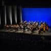 ORCHESTRE DE CHAMBRE NOUVELLE EUROPE - Dir. Nicolas Krauze - Image 34
