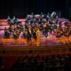 ORCHESTRE DE CHAMBRE NOUVELLE EUROPE - Dir. Nicolas Krauze - Image 28