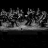 ORCHESTRE DE CHAMBRE NOUVELLE EUROPE - Dir. Nicolas Krauze - Image 24