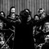 ORCHESTRE DE CHAMBRE NOUVELLE EUROPE - Dir. Nicolas Krauze - Image 23