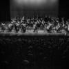 ORCHESTRE DE CHAMBRE NOUVELLE EUROPE - Dir. Nicolas Krauze - Image 22