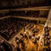 ORCHESTRE DE CHAMBRE NOUVELLE EUROPE - Dir. Nicolas Krauze - Image 21