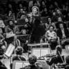ORCHESTRE DE CHAMBRE NOUVELLE EUROPE - Dir. Nicolas Krauze - Image 19