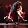 JOSÉ CASTRO - Danseur - Chorégraphe - Bolas - Metteur en scène – Image 141
