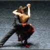 JOSÉ CASTRO - Danseur - Chorégraphe - Bolas - Metteur en scène – Image 142