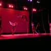 JOSÉ CASTRO - Danseur - Chorégraphe - Bolas - Metteur en scène – Image 123