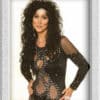 Sosie de Cher booking